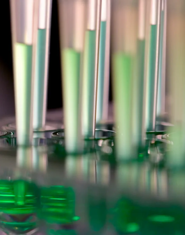 A close-up of several pipettes dispensing green liquid into wells of a transparent laboratory plate, suggesting a scientific or medical experiment in progress.